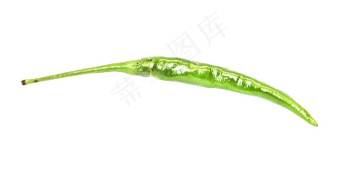 绿色小辣椒蔬菜(2000X2000(DPI:300))