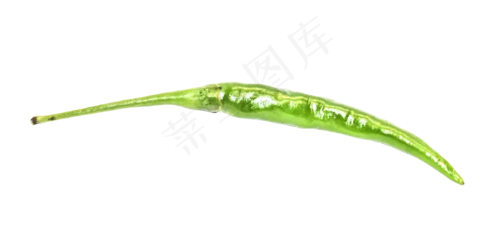 绿色小辣椒蔬菜(2000X2000(DPI:300))