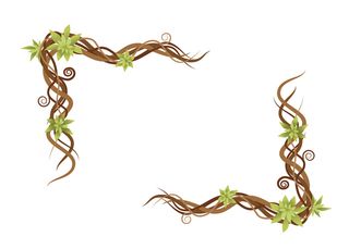 藤蔓植物抽象绿色野生树枝框架平面矢量图在白色背景下被隔离。