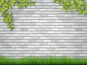 白色砖墙背景上的草和树枝。