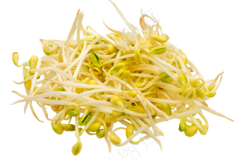 一堆豆芽食材