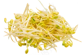 一堆豆芽食材