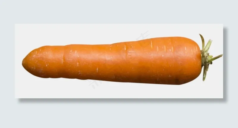 一根胡萝卜(1503X539(DPI:300))psd模版下载