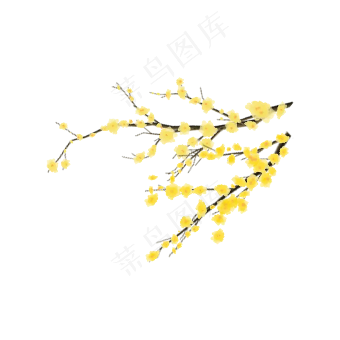 国风黄腊梅(2000X2000(DPI:300))psd模版下载
