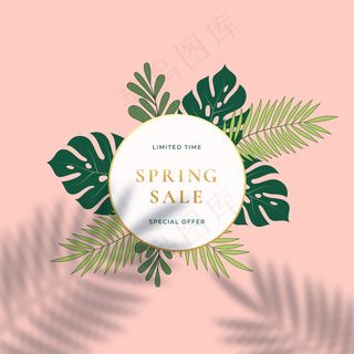 热带树叶夏季标志或标志模板。