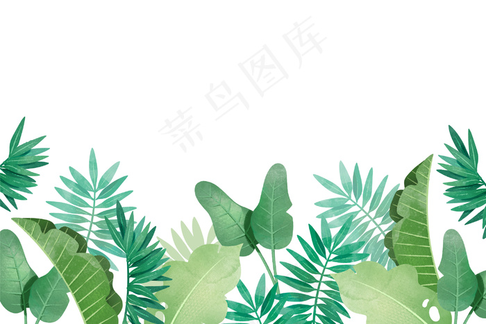 不同背景的热带树叶