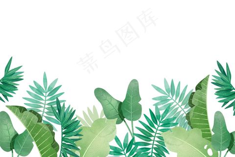 不同背景的热带树叶