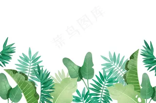 不同背景的热带树叶