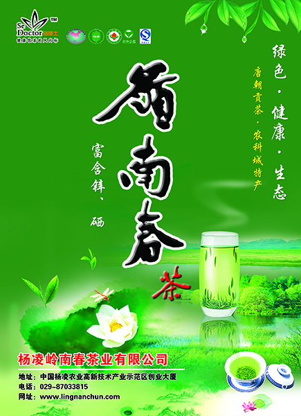 茶叶宣传海报