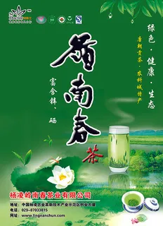 茶叶宣传海报