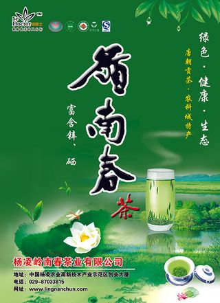 茶叶宣传海报