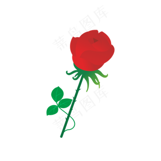 七夕情人节玫瑰花