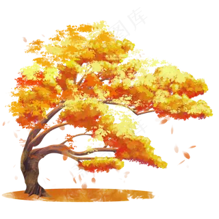 秋天枫树落叶素材