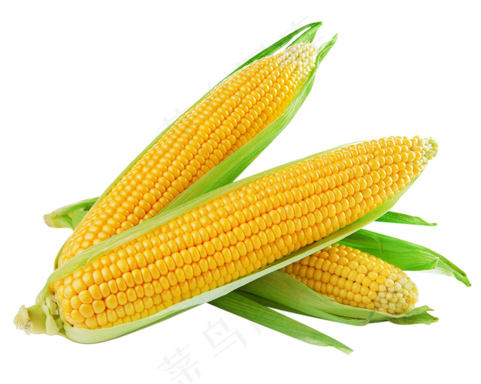 玉米 蔬菜psd模版下载