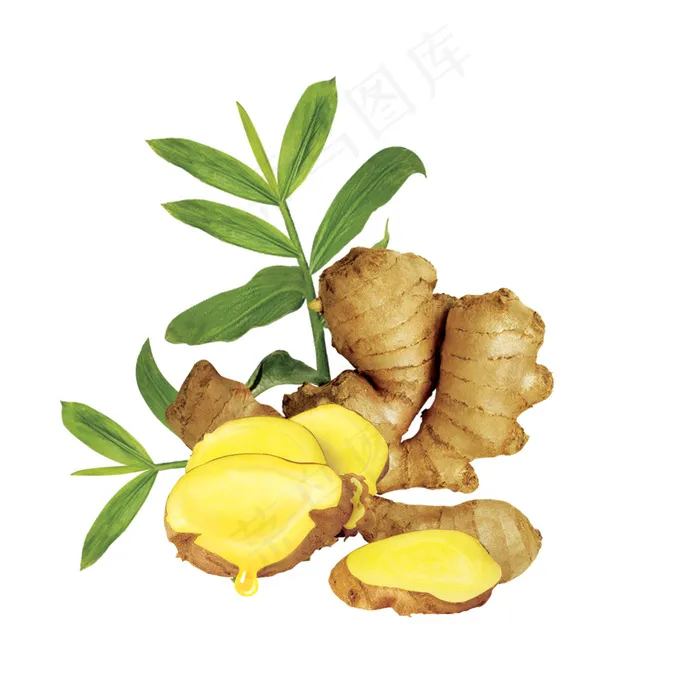 生姜 蔬菜psd模版下载