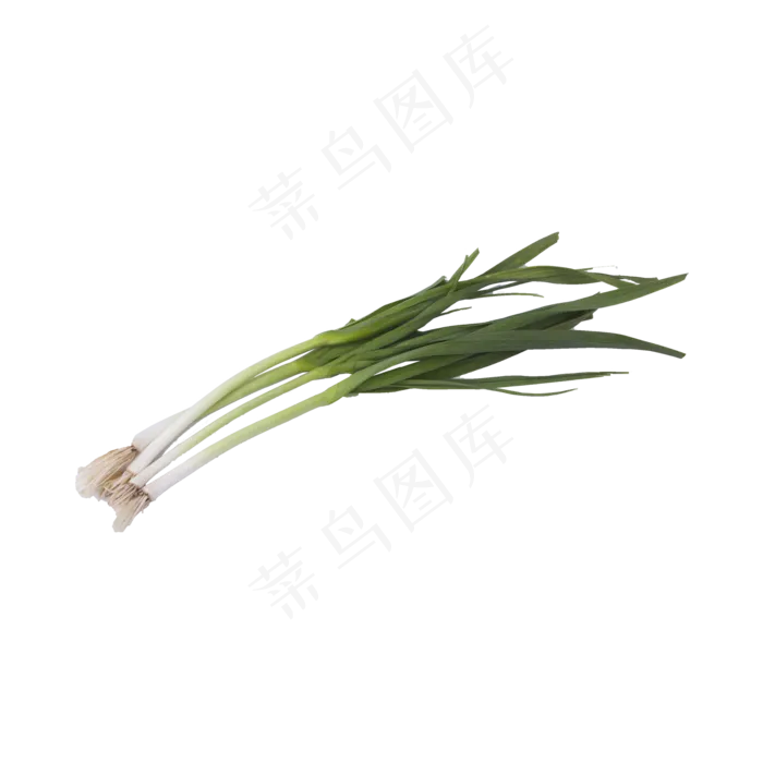 大葱实物拍摄（png免抠）(2000X2000(DPI:72))psd模版下载