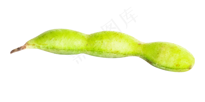 绿色食材青豆(4000*2000px 300 dpi )