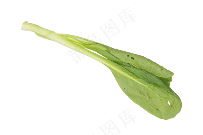 绿色蔬菜油菜(2000X2000(DPI:300))