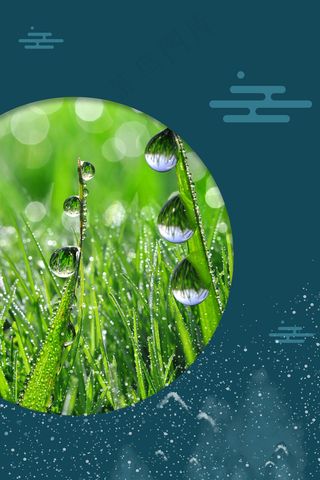 寒露节气24传统节气