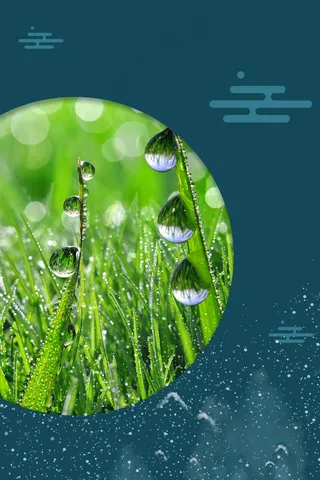 寒露节气24传统节气