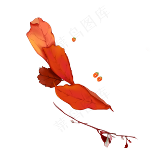 手绘立秋写实黄色枫叶