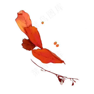 手绘立秋写实黄色枫叶