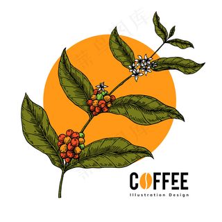 手绘咖啡树