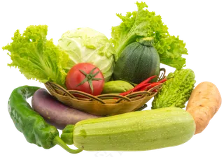 西葫芦蔬菜合集