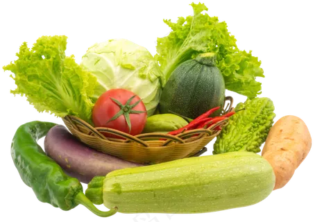 西葫芦蔬菜合集 西葫芦蔬菜合集