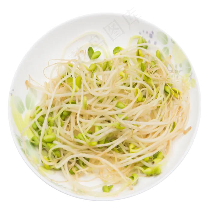 炒豆芽菜(2000X2000(DPI:300))