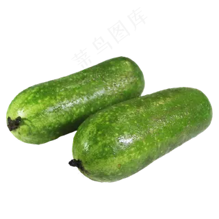 节瓜蔬菜 节瓜蔬菜