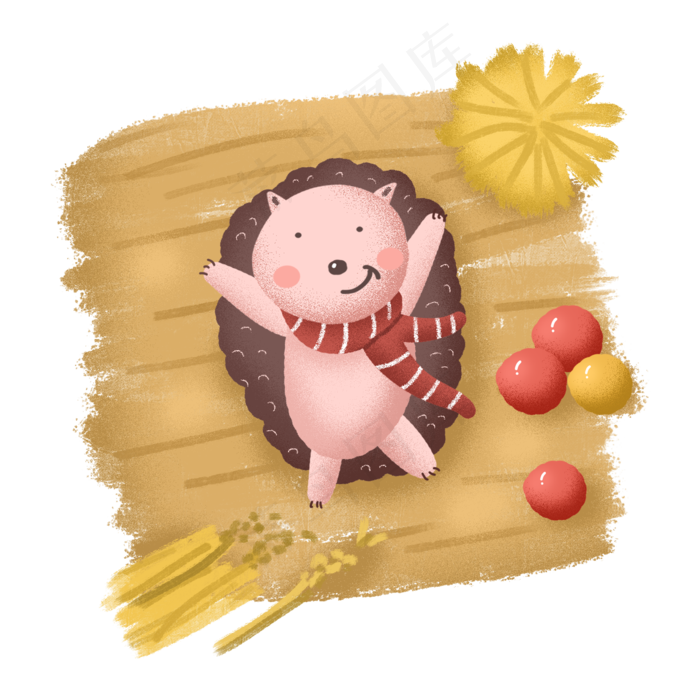 秋天秋日动物刺猬秋景稻田