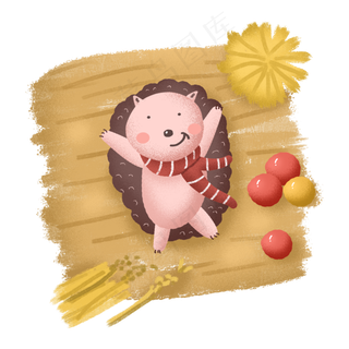 秋天秋日动物刺猬秋景稻田