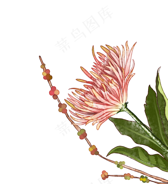 重阳节秋季菊花(1164X1276(DPI:300))psd模版下载