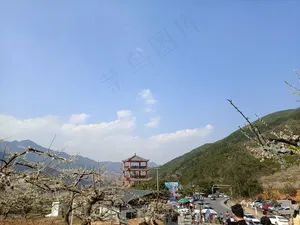春天的郊游