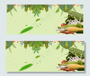 有机蔬菜质量保证