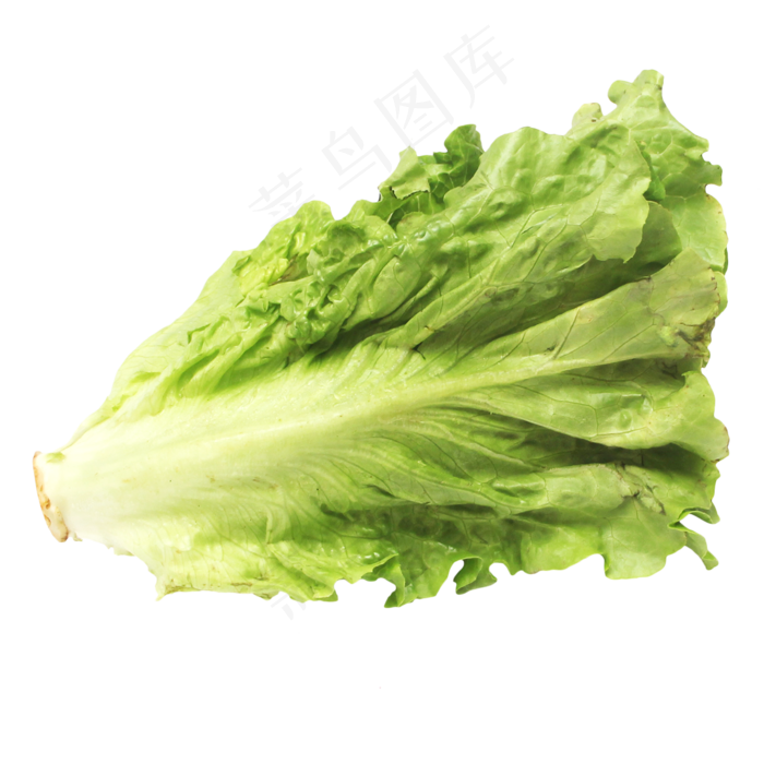 食材蔬菜生菜