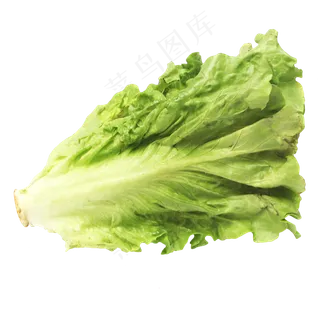 食材蔬菜生菜