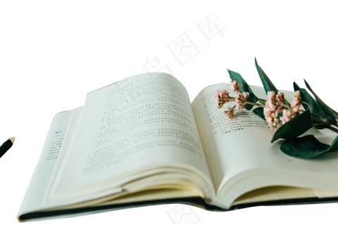 书本鲜花