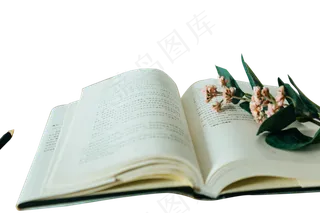 书本鲜花