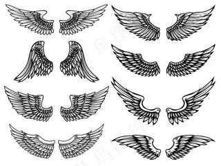 白色背景上的复古翅膀插图集。标志、标签、徽章、标志的元素。插图。