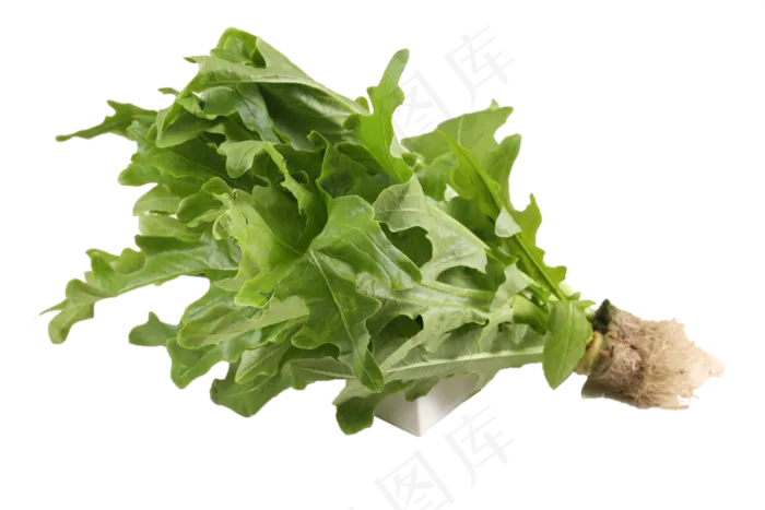 新鲜青菜(2000X1333(DPI:350))psd模版下载