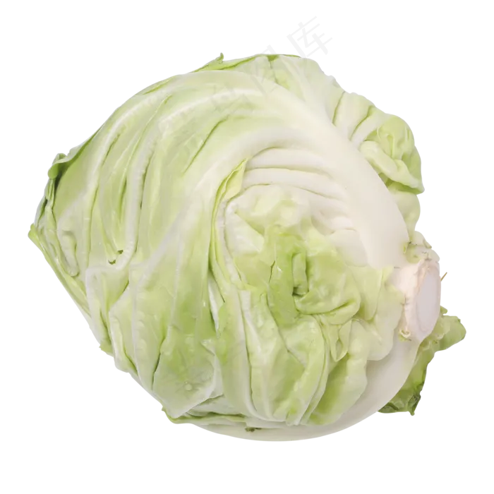 浅绿色的包菜(2000*2000px 300 dpi )