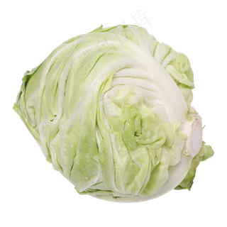浅绿色的包菜