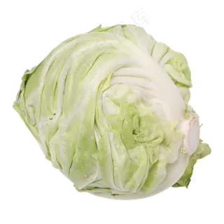 浅绿色的包菜 浅绿色的包菜