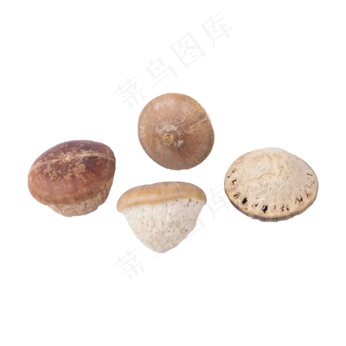 蘑菇（png免抠）(2000X2000(DPI:72))psd模版下载