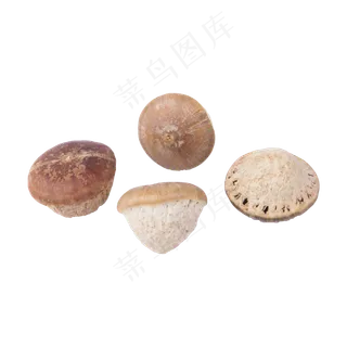 蘑菇（png免抠）