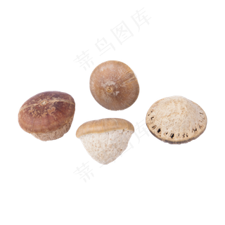 蘑菇（png免抠）