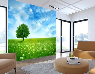 电视墙背景画效果图片