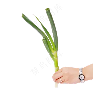一颗大葱